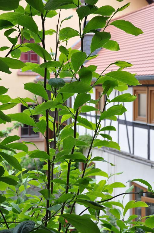 Gastezimmer Am Hof Frankfurt am Main Exteriör bild
